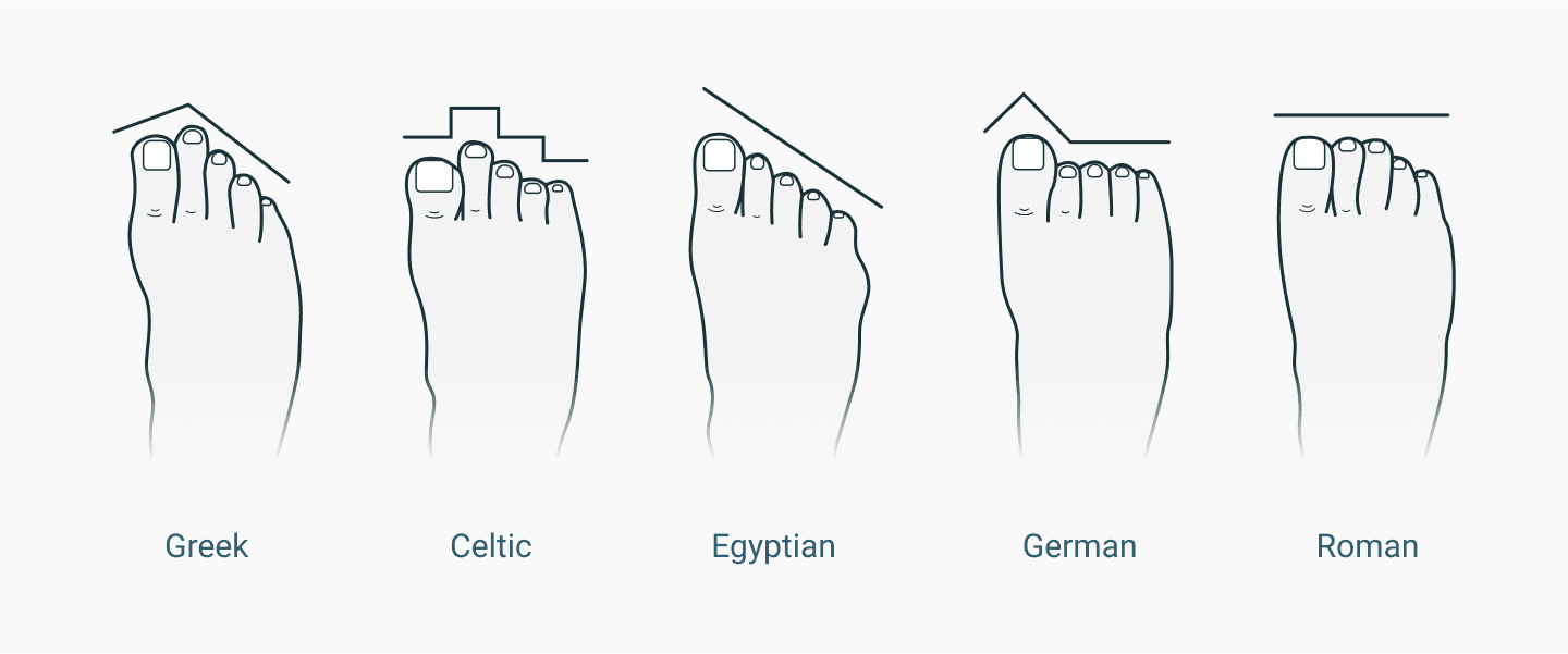 toebox shape illustration 