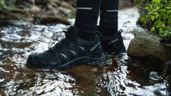 Best Gore-Tex running shoes