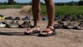 Best hiking sandals