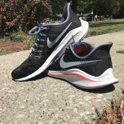 vomero 14 o pegasus 35