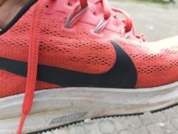 nike air zoom pegasus 36 flat feet