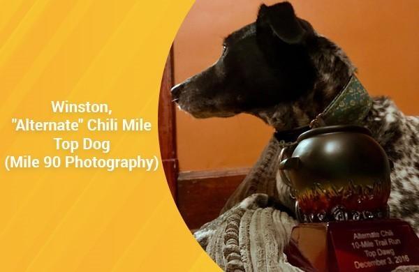 Alternate Chili Mile Top Dog (by Mile 90 Photography)