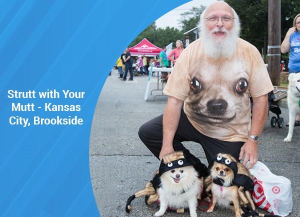 Strutt with your mutt - Kansas City, Brookside