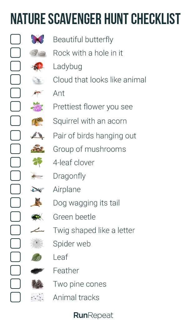 lista de insectos que ver