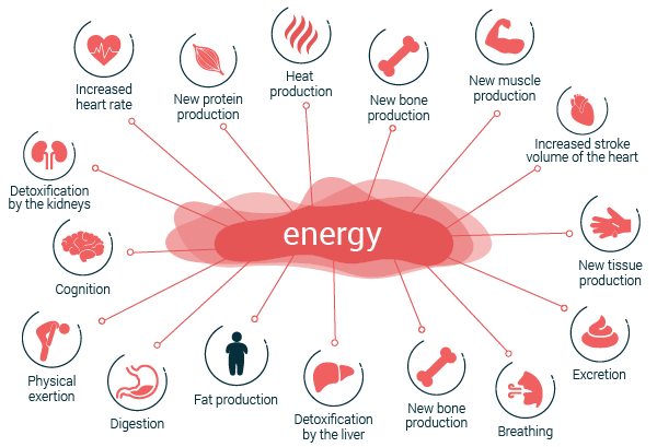 posibilidades de gasto energético