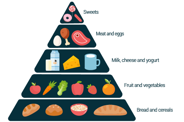 food pyramid