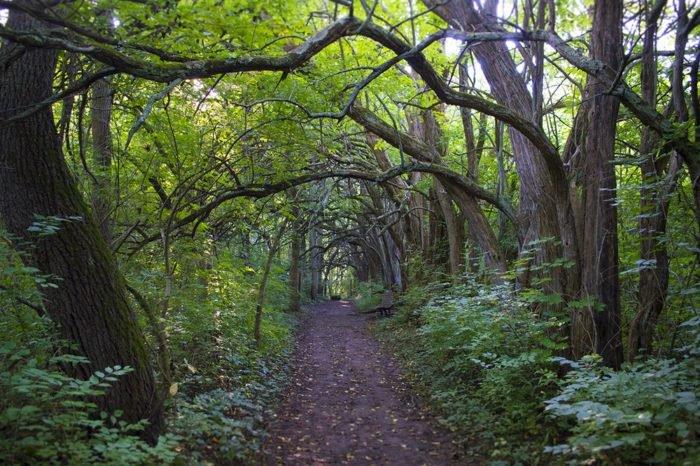 tunnel-park