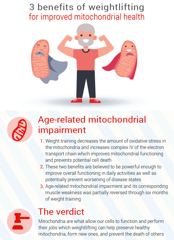 benefits-for-age-related-mitochondrial-impairment-in-seniors