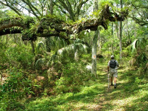 Florida-Hiking