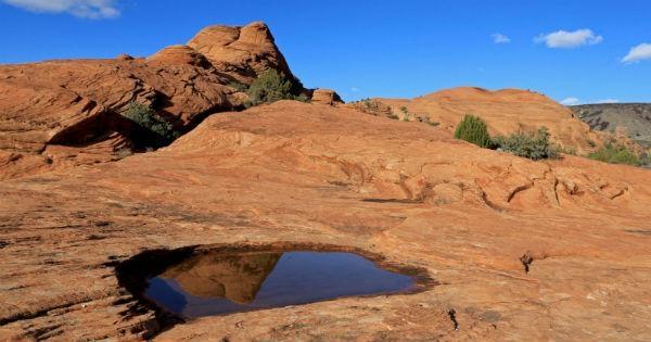 Petrified-Dunes-Utah