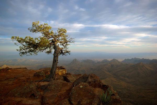 South-Rim-Loop-Big-Bend-National-Park