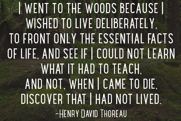 49-Henry-David-Thoreau-Quote