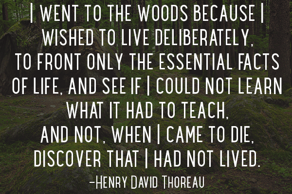 49-Cita de Henry David Thoreau