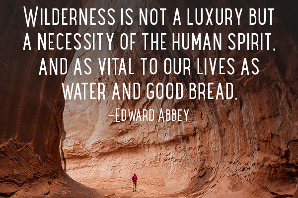 75-Edward-Abbey-Quote