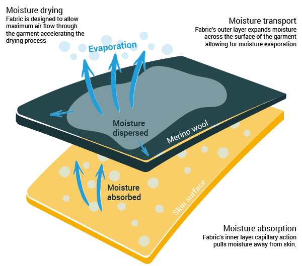 Explicación de la transpirabilidad y de la absorción de la humedad