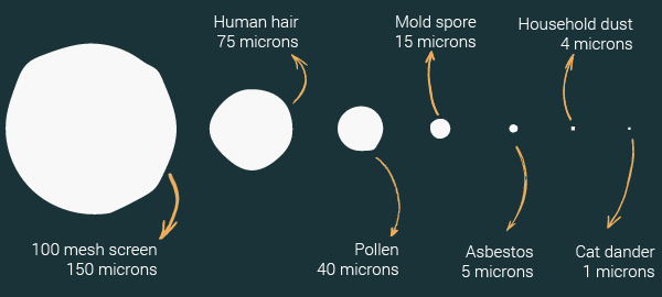 Comparación del diámetro de las fibras