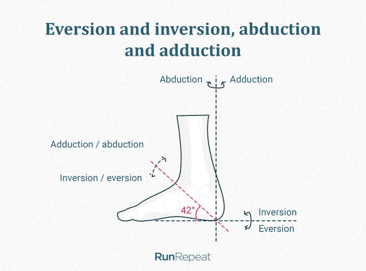 Eversion, inversion, abduction, adduction