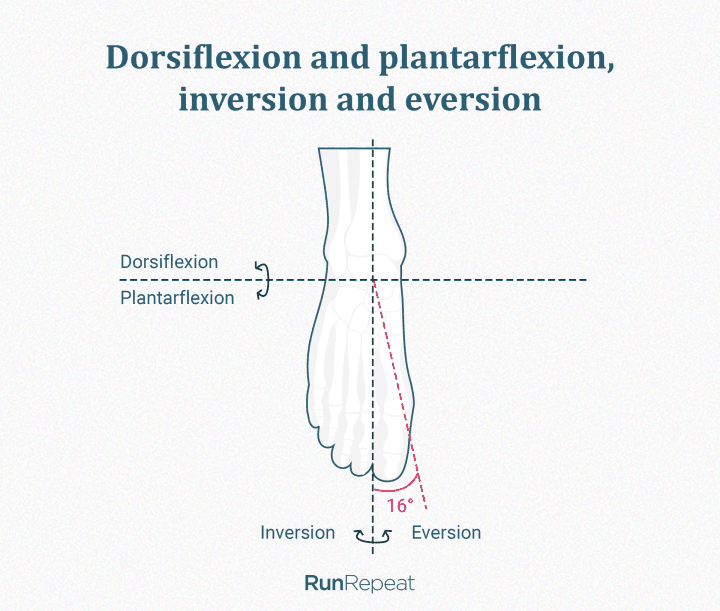 Dorsiflexión, plantarflexión, inversión, eversión