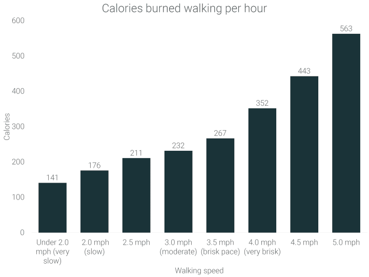 how-many-calories-does-a-dog-burn-walking