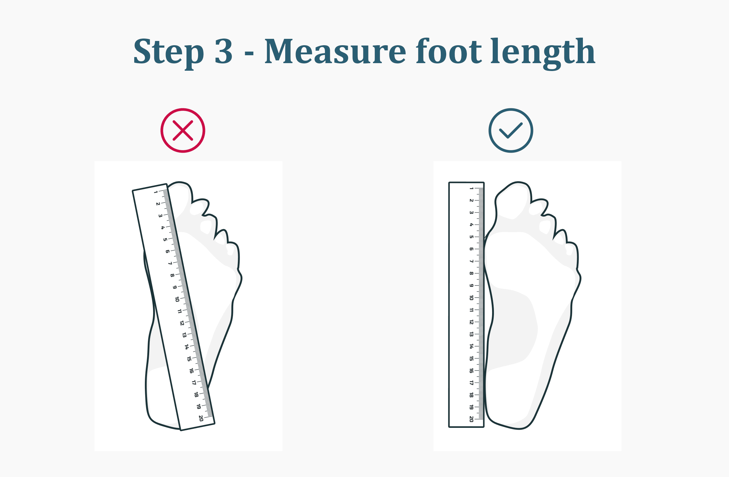 Foot Measurement Tool Printable