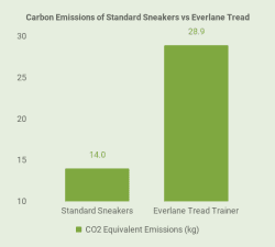 Is the Everlane Tread Trainer a case of Greenwashing?