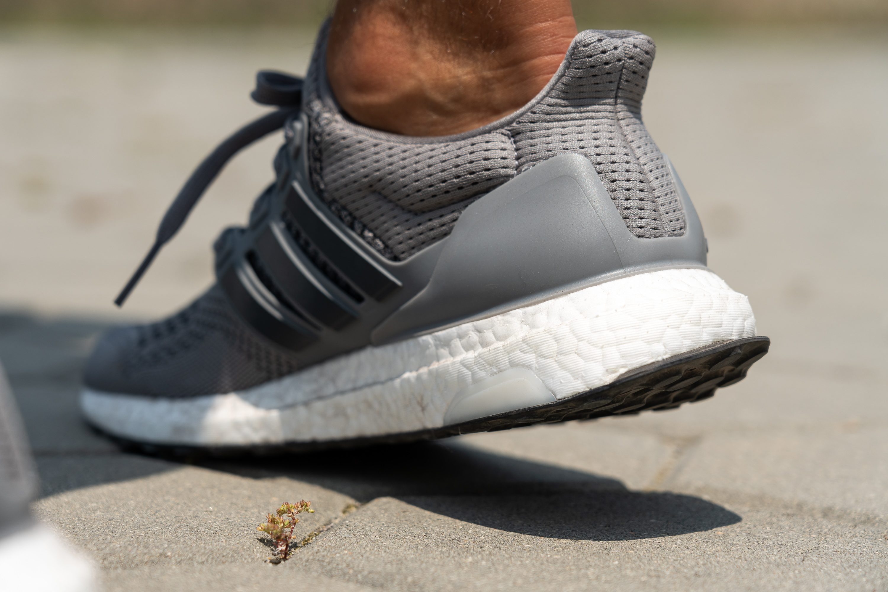 Adidas Ultraboost 1.0 Heel tab