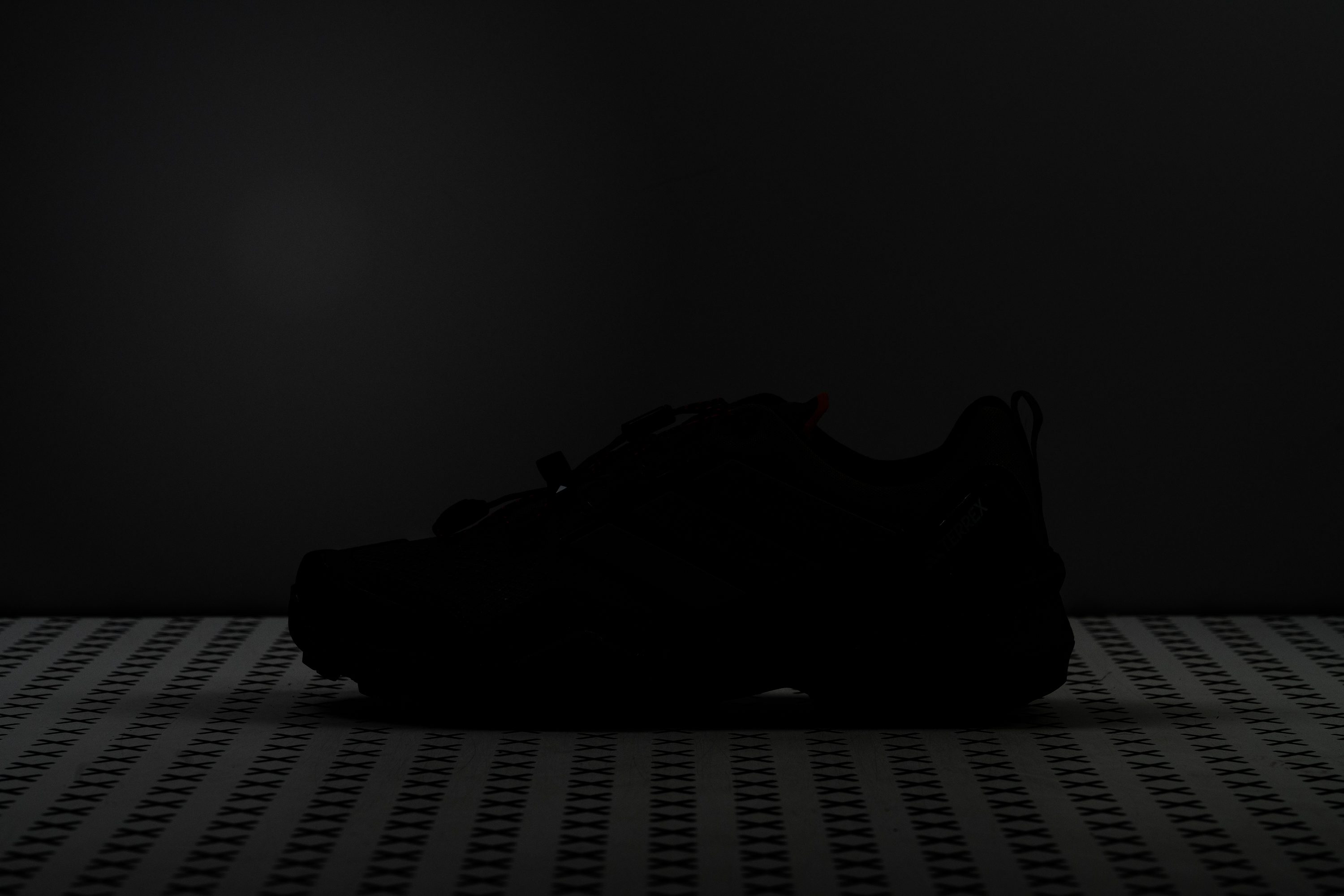 adidas Terrex Skychaser GTX Reflective elements