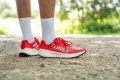 adidas Terrex Agravic Speed