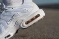 Nike Air Max Plus_outdoor_014