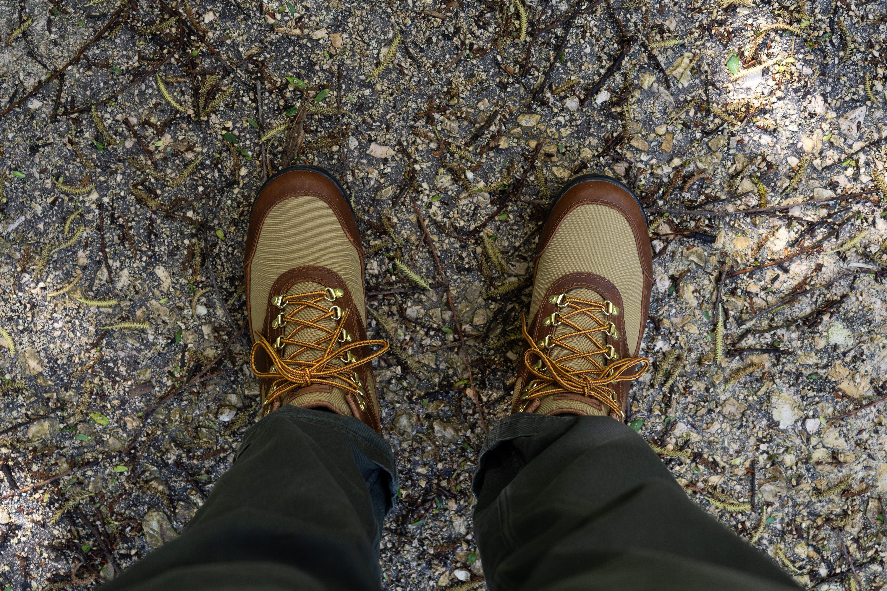 Cut in half Danner Jag Review 2024 RunRepeat