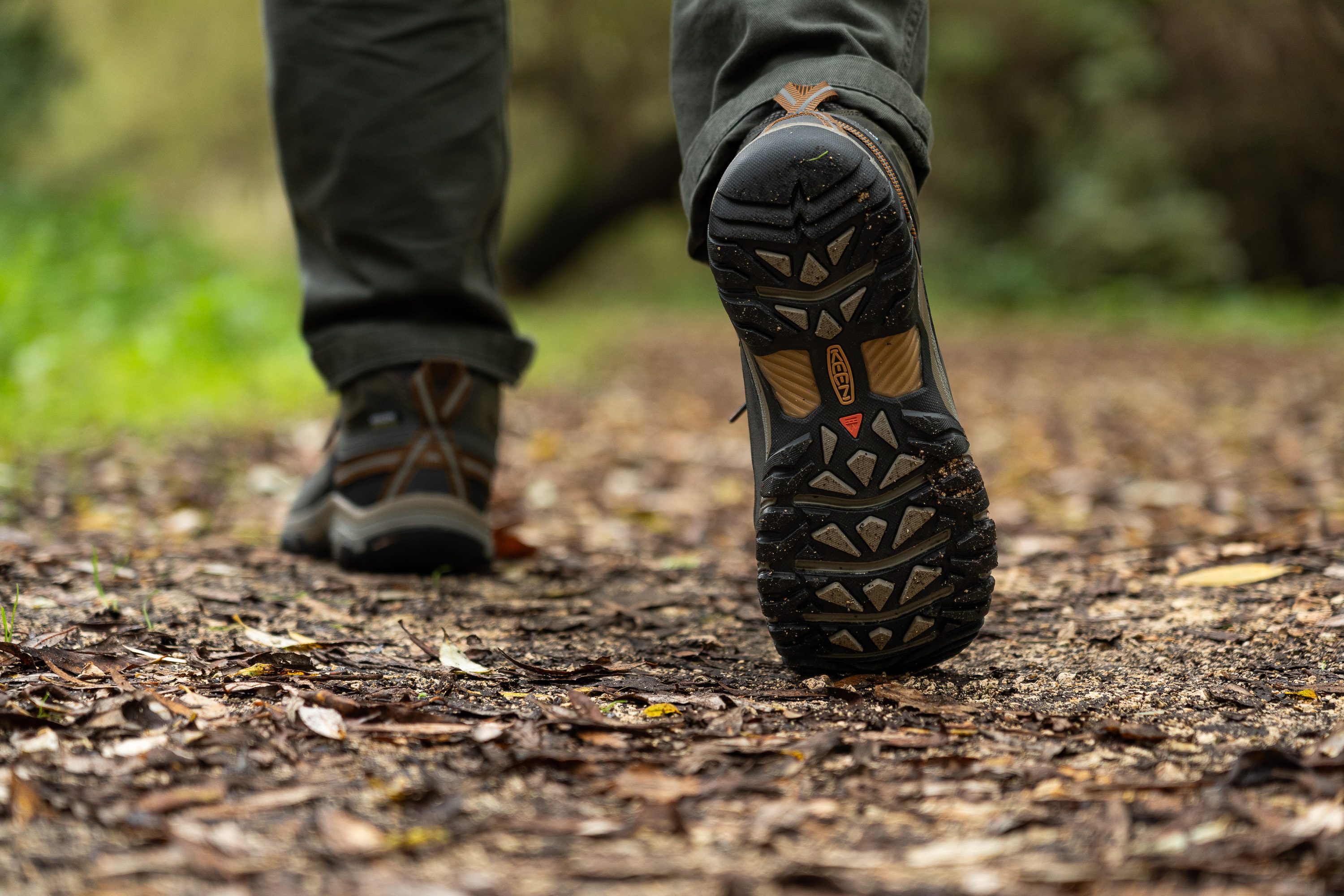 KEEN Targhee III Waterproof Mid ycg