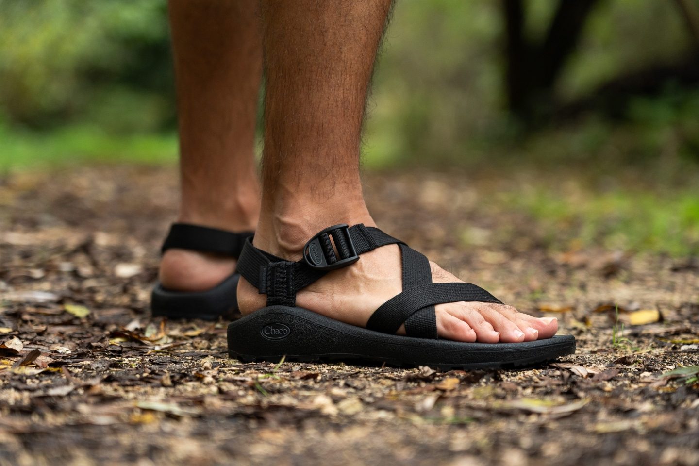 chaco z cloud wide width
