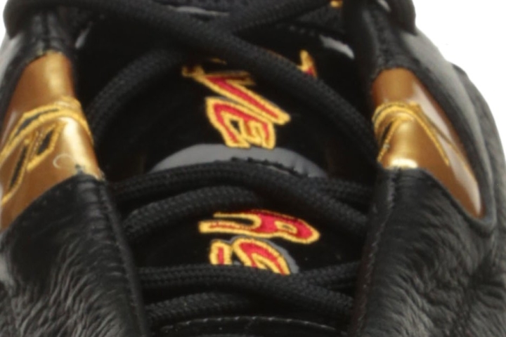 Reebok Answer DMX cordones1