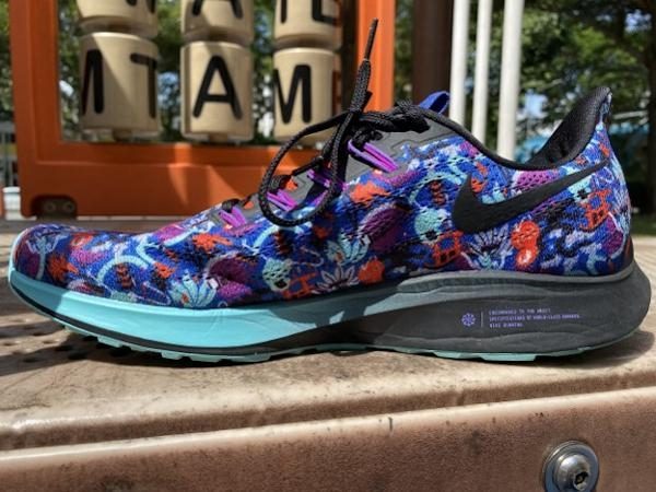 nike air zoom structure 21 vs pegasus 34