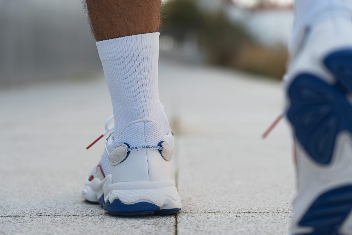 Cut in half Adidas Ozweego Review (2023) RunRepeat