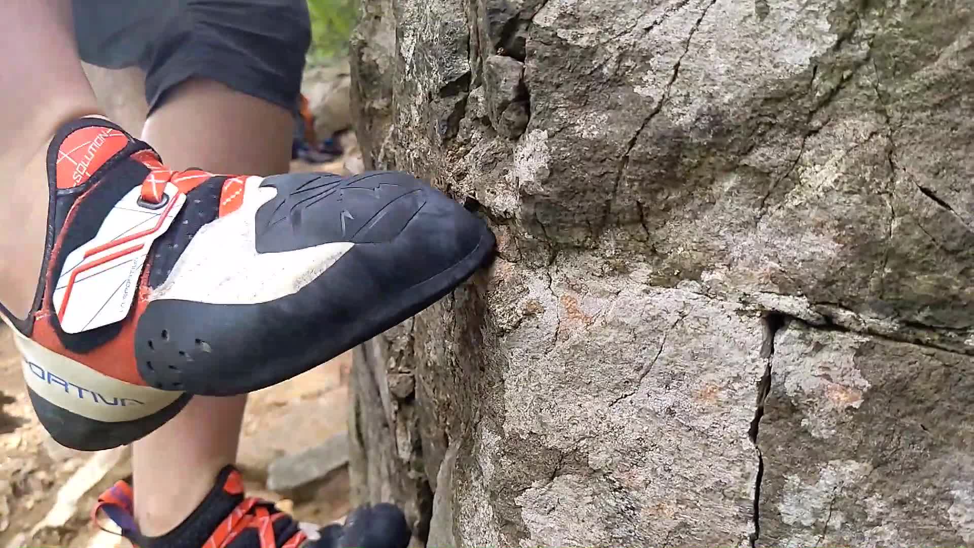 La Sportiva Solution Climbing Shoe - Men's White
