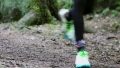 Nike Air Zoom Terra Kiger 6 Running