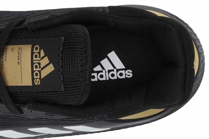 adidas pro bounce 2019 low lockdown1 16307656 720