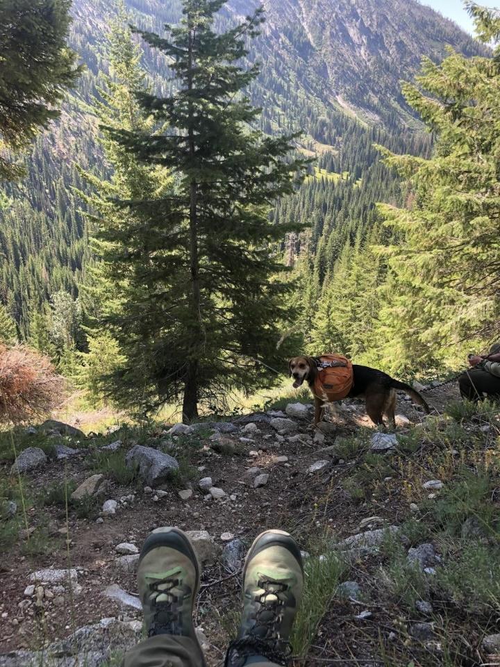 mountain-hiking-boot.jpg