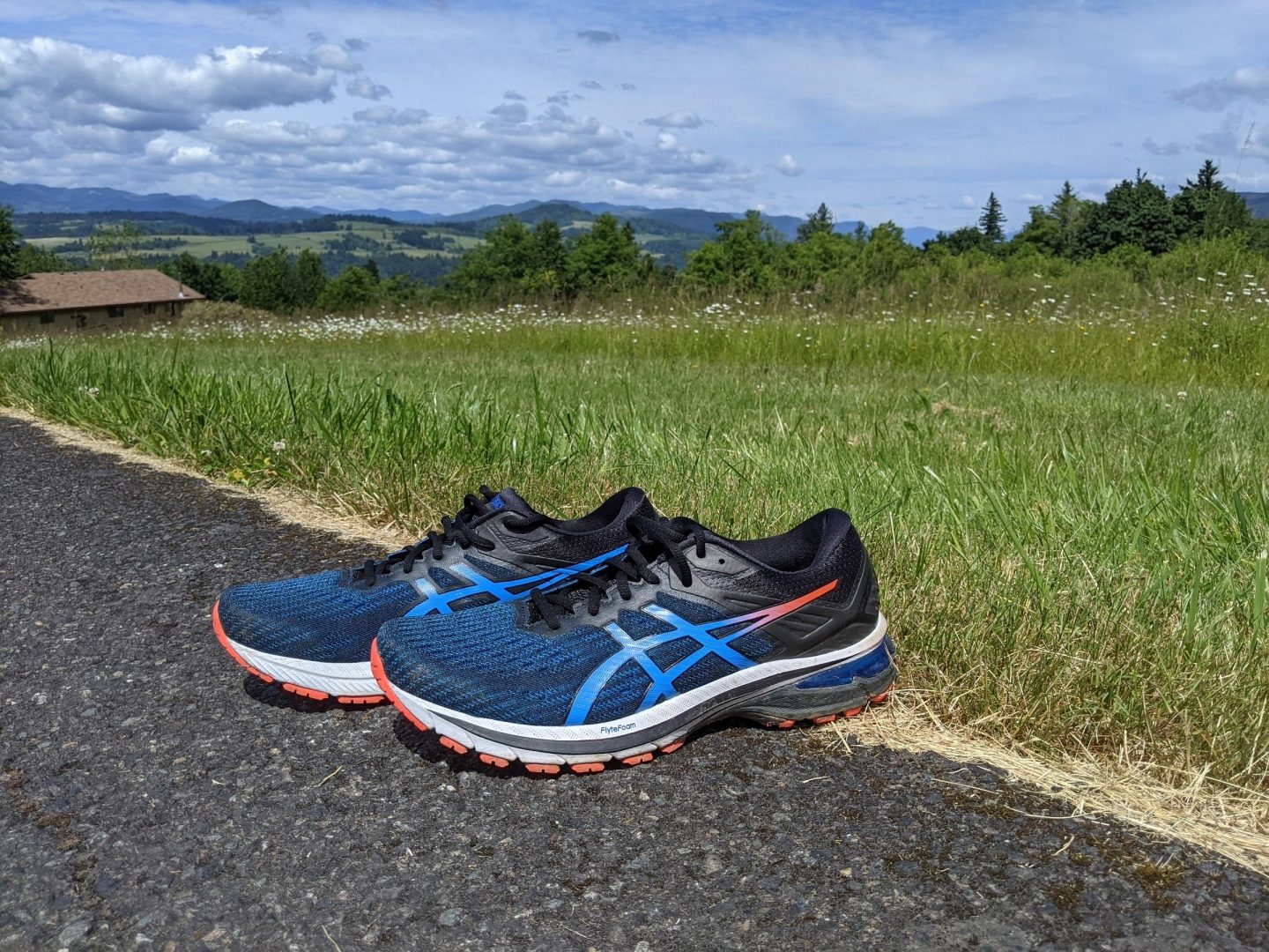 asics gt 1000 vs gt 2000