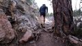 Altra Lone Peak 5 Roots Slow Motion