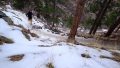 Altra Lone Peak 5 Running In Snow