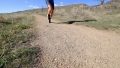 Nike Zoomx Invincible Run Dirt Roads