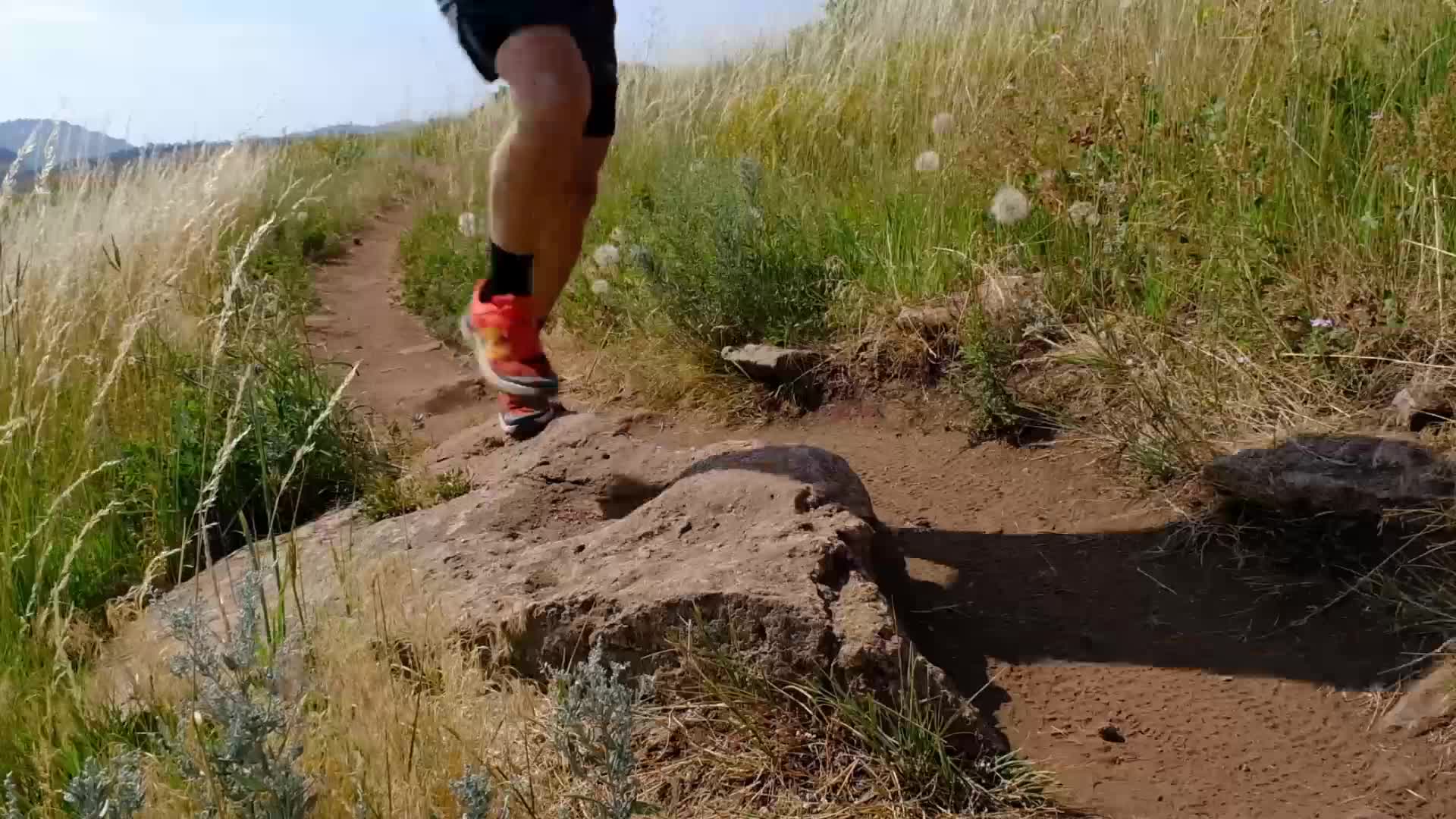 fresh foam hierro v6