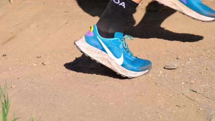 Nike Pegasus Trail 3 Running
