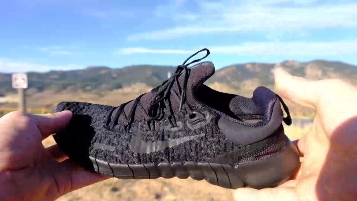 nike free run vs flex run