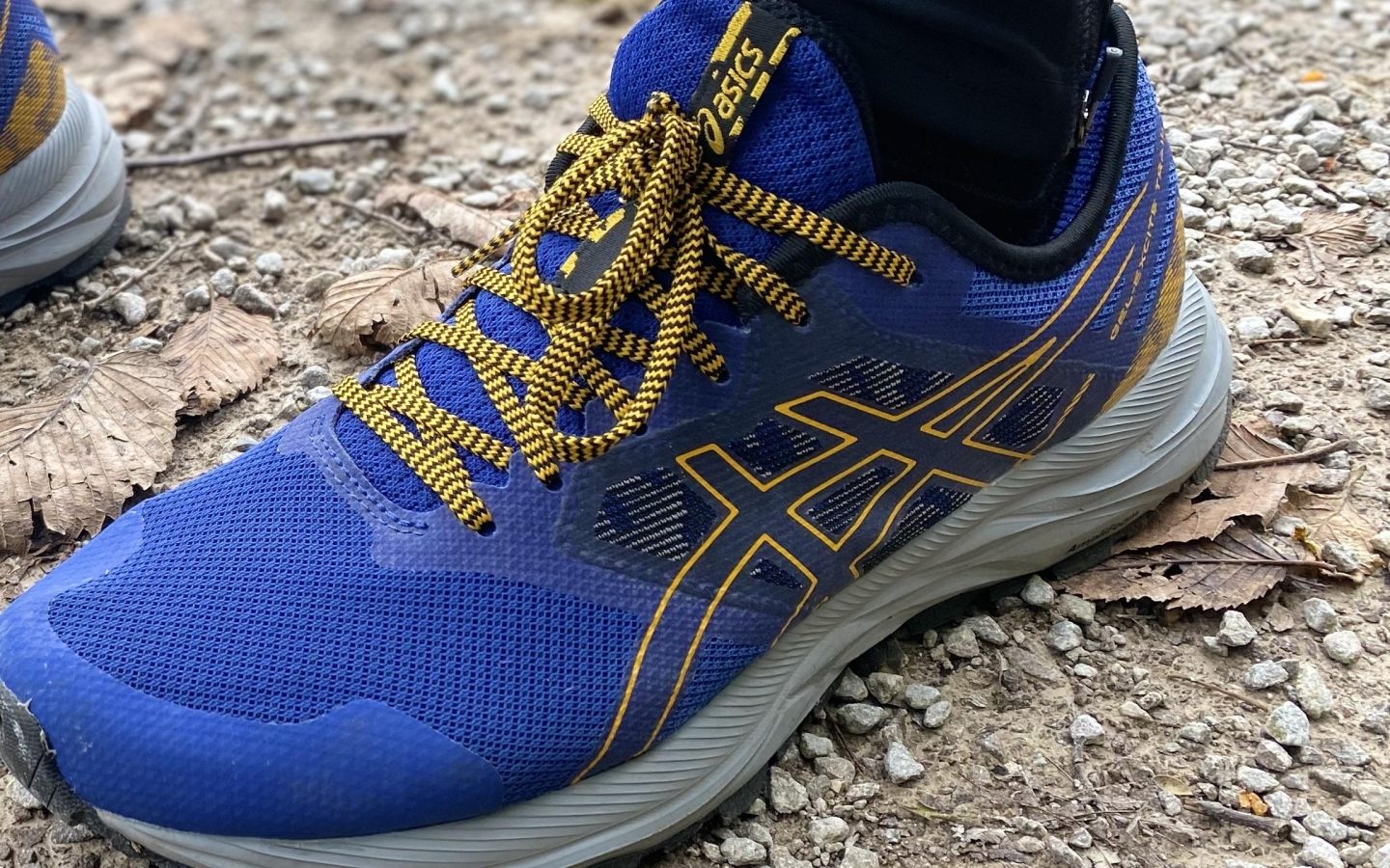 7 Best ASICS Trail Running Shoes in 2023 RunRepeat