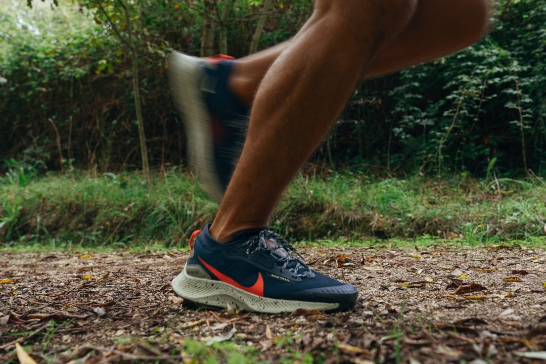 Cut in half: Nike Pegasus Trail 3 GTX Review | RunRepeat