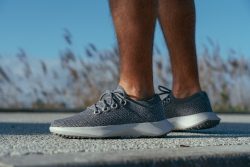 allbirds tree dasher review