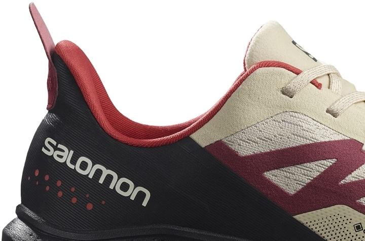 Salomon Outpulse GTX expen